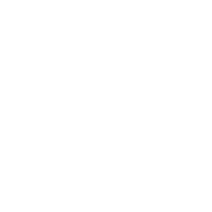 Wolf Web Design logo